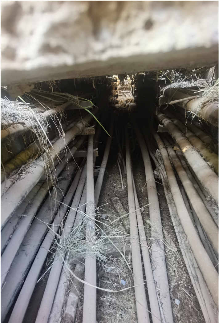 1667793518242828.png 66666.png